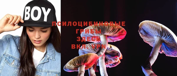 apvp Горно-Алтайск