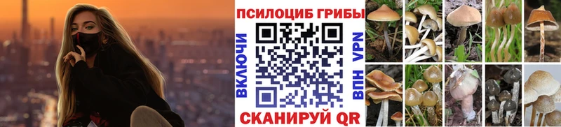 Галлюциногенные грибы мицелий Заозёрск